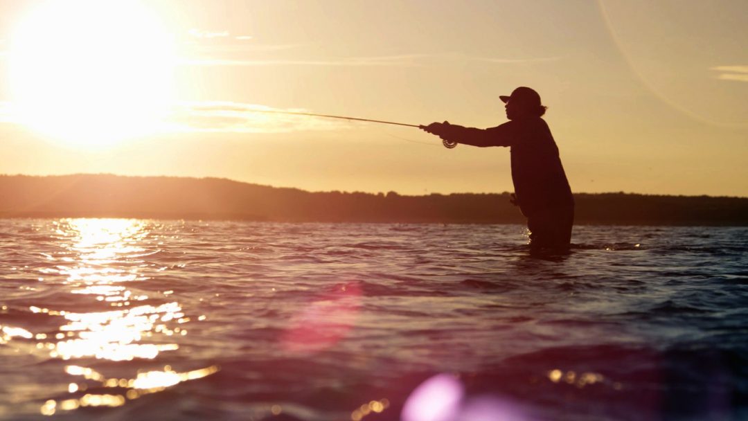 SPY – Fish Happy